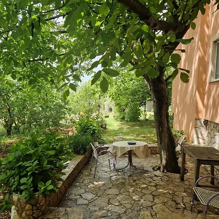 펜션 Vineyard House 키트루크